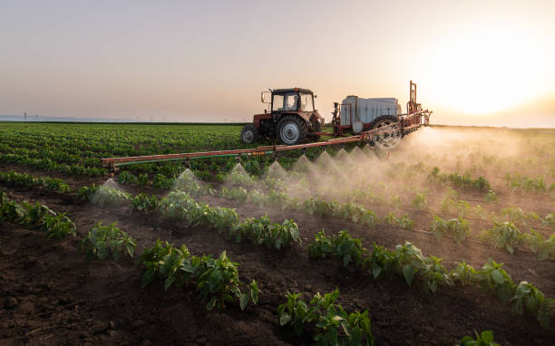 Best Pest Prevention Services  in Untain View, MO