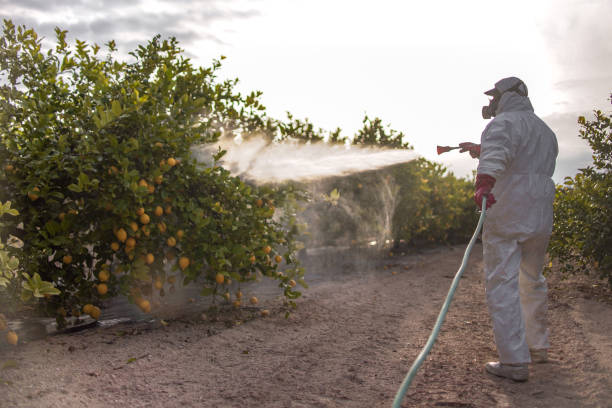 Best Local Pest Control Services  in Untain View, MO
