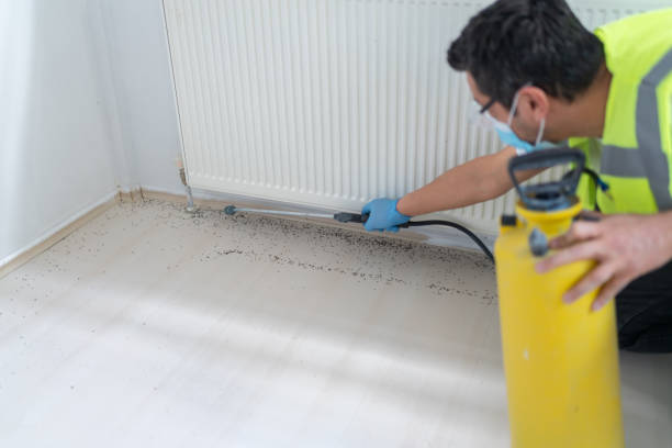 Best Best Pest Control Companies  in Untain View, MO